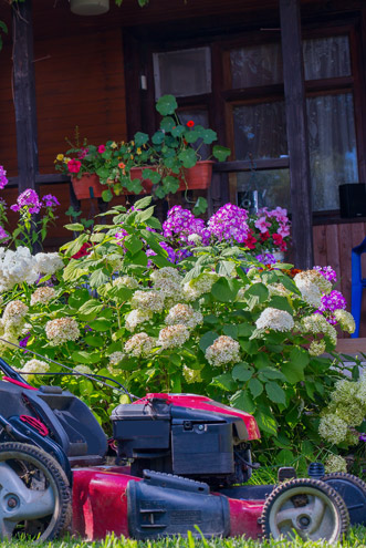 landscaping maintenance