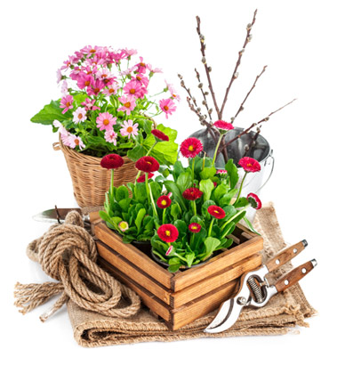 landscaping maintenance