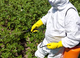 Fertilizer Treatments