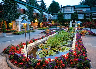 garden landscaping